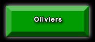 Rubrique oliviers toutes tailles et de tous âges