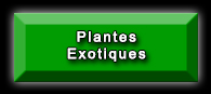 Rubrique Plantes exotiques rares jusqu'à -20°C !